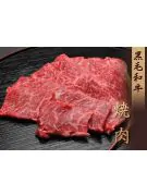 Japanese Beef Yakiniku
