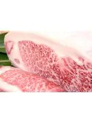 japanese kobe beef huntspoint.com